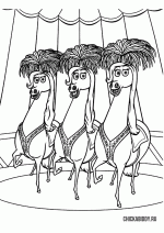 Цирковые лошади